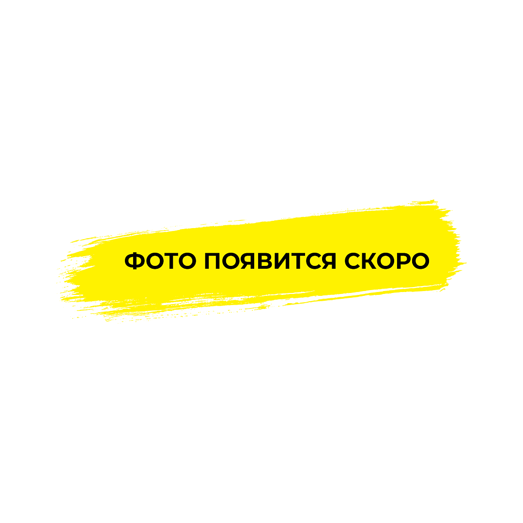 Russian Touring Car Guide 2019